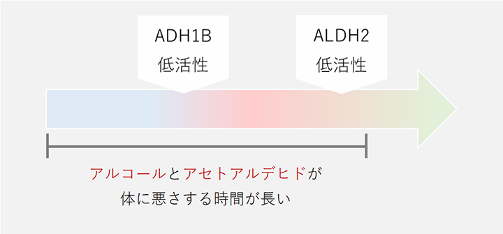 ADH1Bが高活性でALDH2が低活性