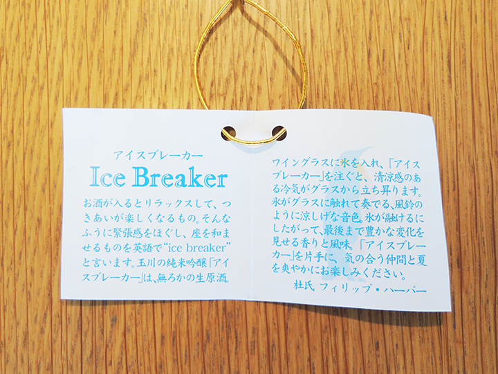 icebreakerとは？