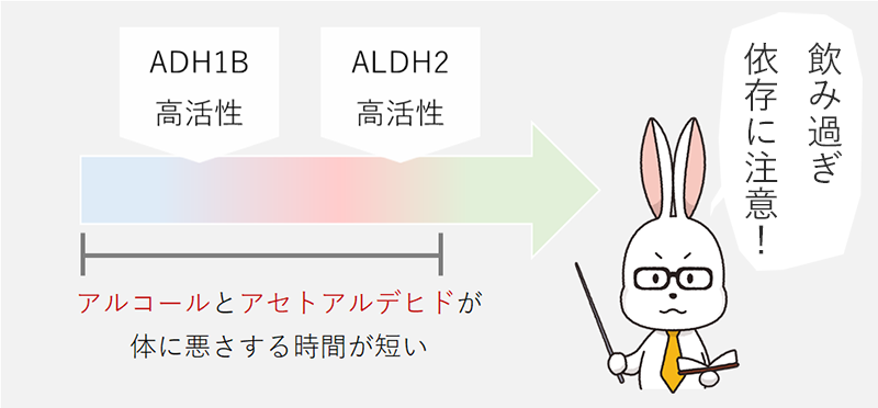 ADH1Bが低活性でALDH2が高活性